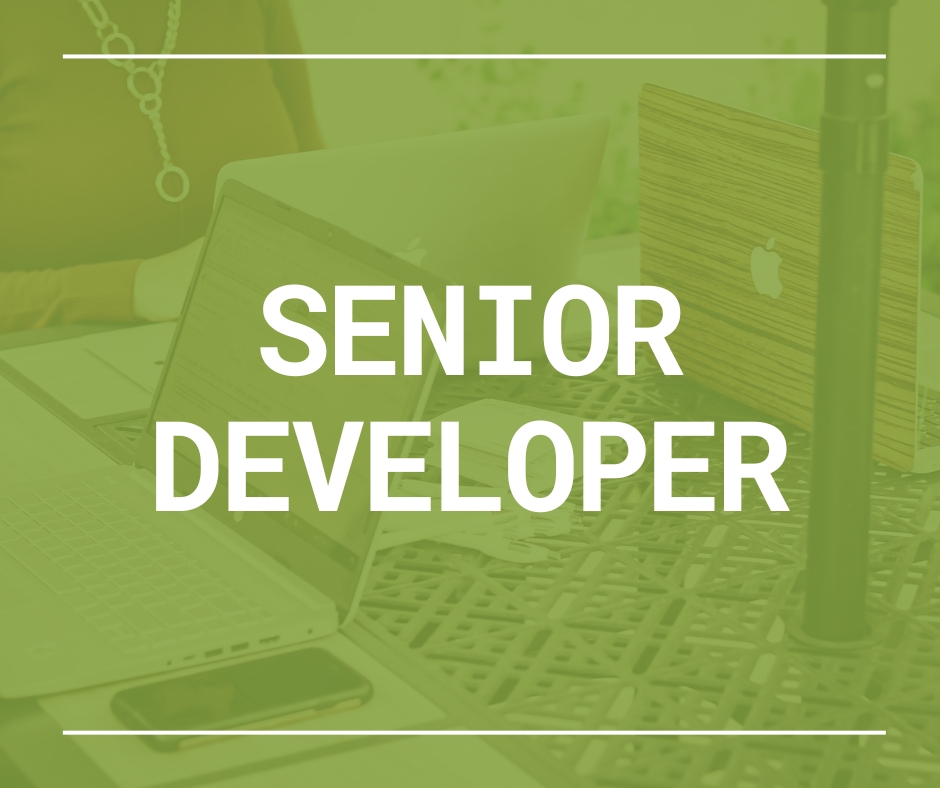 senior .net developer